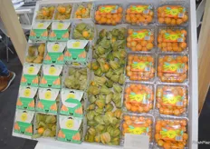 Caribbean Exotics are leading Colombian growers and exporters of physalis. A recent study they conducted and published shows the many health benefits of the fruit.